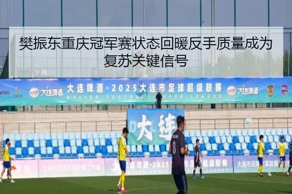 樊振东重庆冠军赛状态回暖反手质量成为复苏关键信号